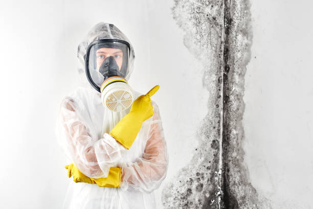 Best Forensic Mold Investigation  in Greendale, WI