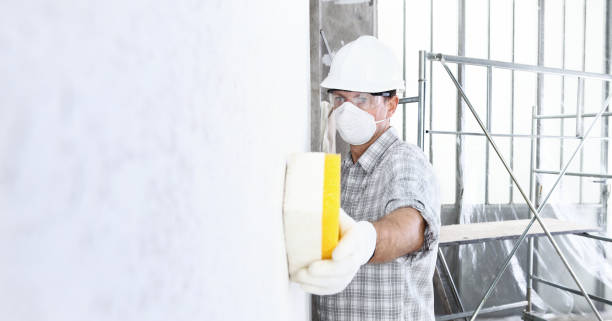 Greendale, WI Mold Removal & Remediation Company