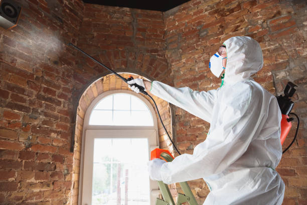 Asbestos and Lead Testing During Mold Inspection in Greendale, WI